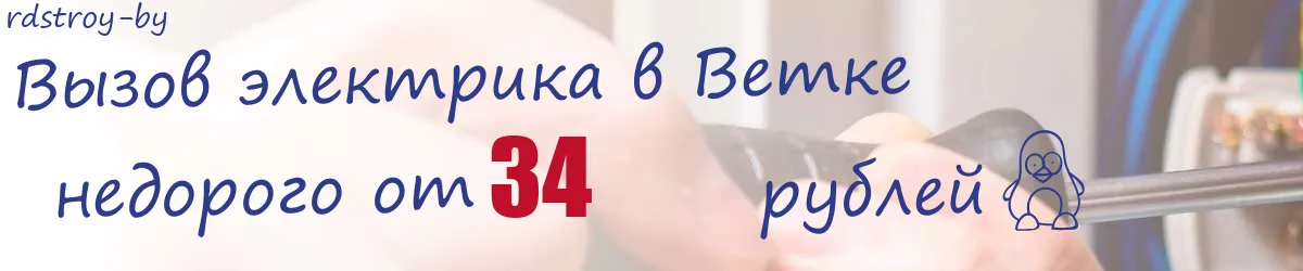 Электрик в Ветке